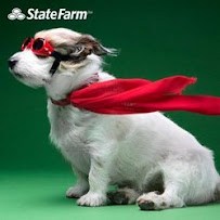 Peter Romeo - State Farm Insurance Agent 02