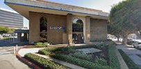 Mitra Zadeh - Chase Home Lending Advisor - NMLS ID 310233 01