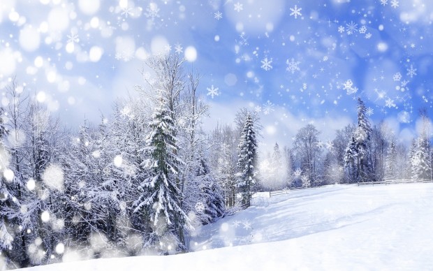 Winter Finance LLC 01