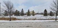 AgCountry Farm Credit Services 02