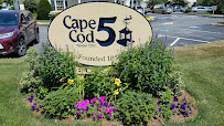 Cape Cod 5 04