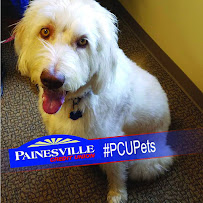 Painesville Credit Union 04