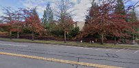 Bank of America (with Drive-thru ATM) 02