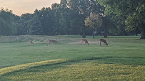 Rackham Golf Course 03
