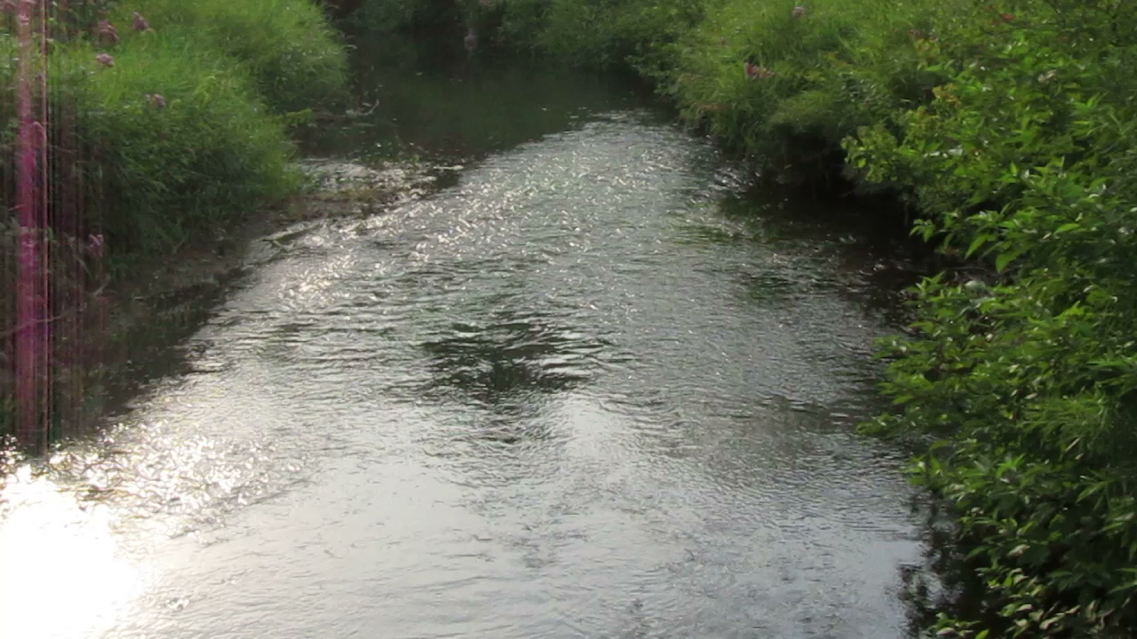 Spruce Hill Park 01