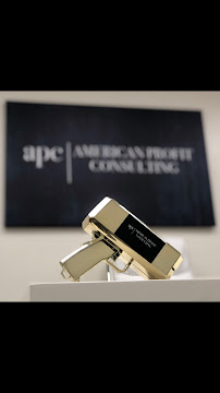American Profit Consulting 01