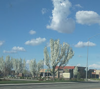 Zions Bank Twin Falls/Canyon Park 03