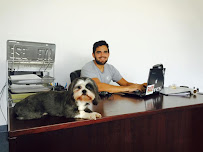 M & C Auto Finance Inc. 03