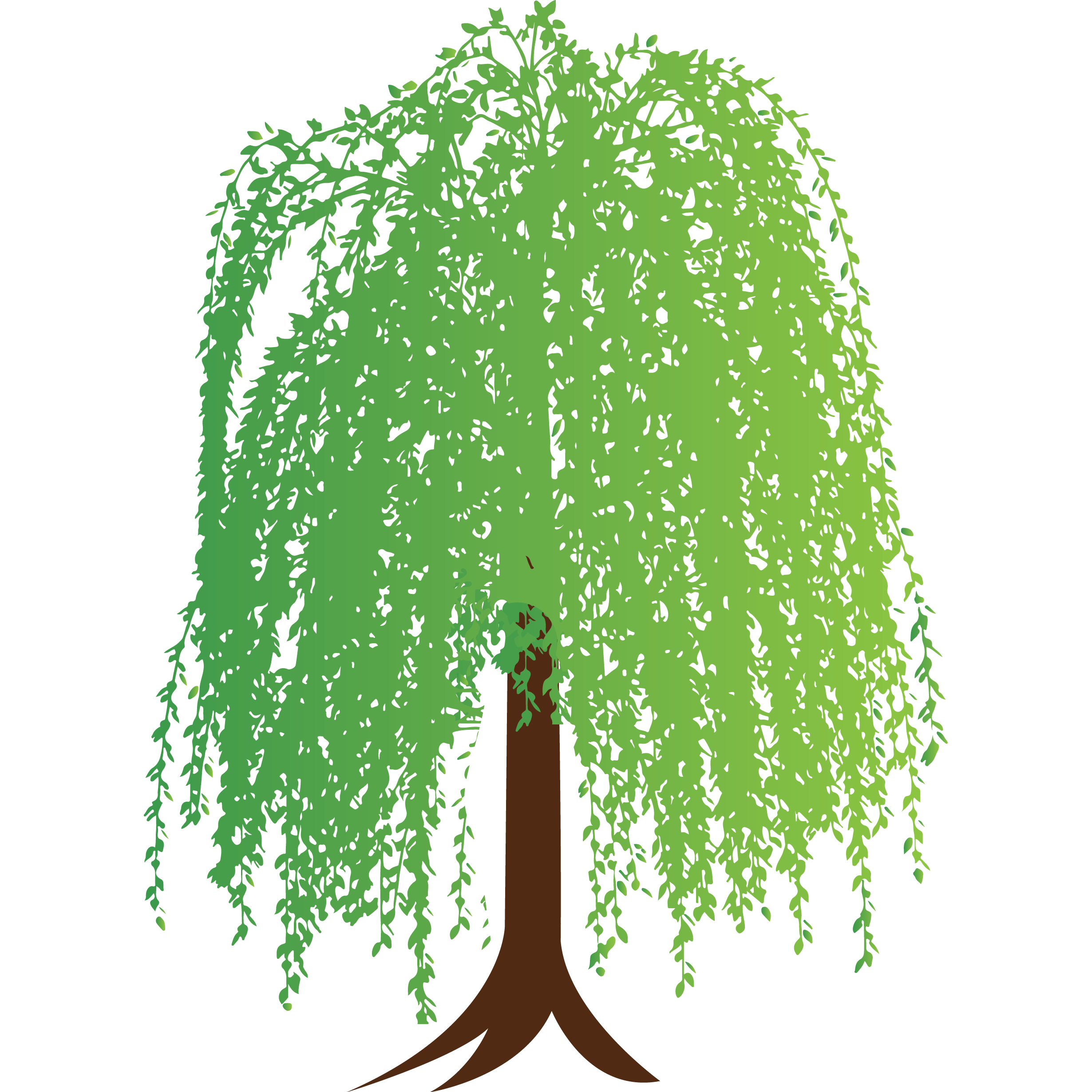 Willow Financial Consulting, Inc. 01