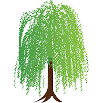 Willow Financial Consulting, Inc. 01