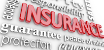 Pixel Insurance 02
