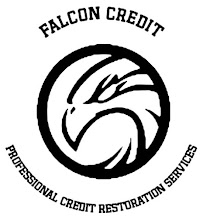 Falcon Credit 02