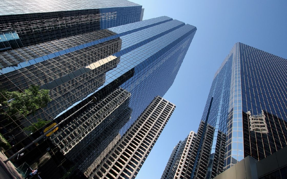 Dynamic Business Capital 01