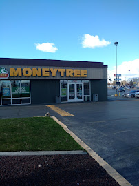 Moneytree 02