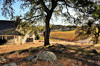 Gold Country Modern Real Estate 01
