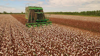 Louisiana Land Bank 01