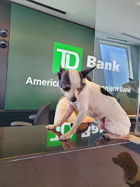 TD Bank 01