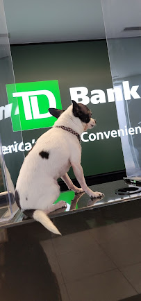 TD Bank 02