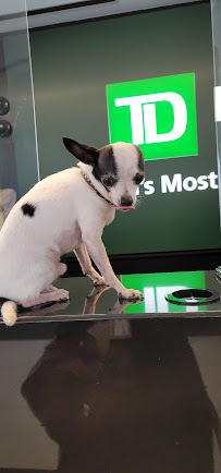 TD Bank 04