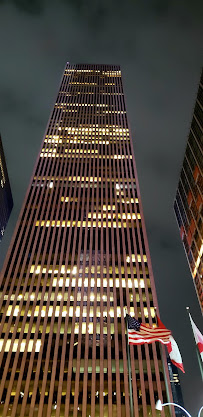 Rodman & Renshaw Capital Group 02