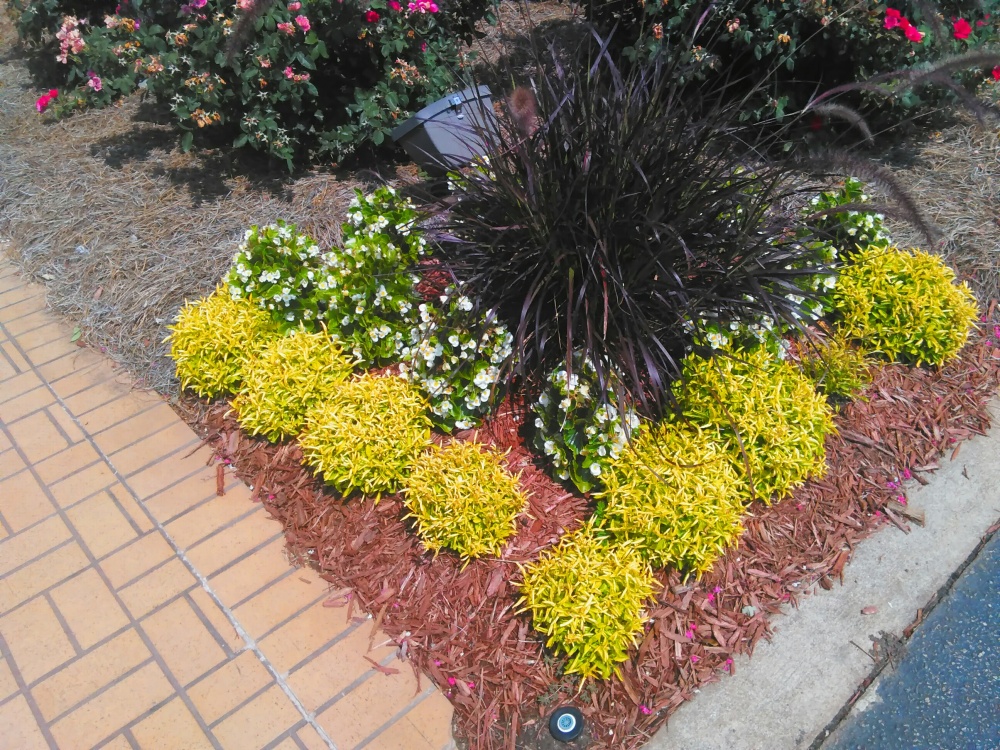 MidSouth Community Federal Credit Union 01