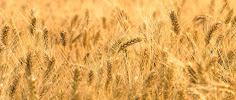 Life Stewardship Advisors 01