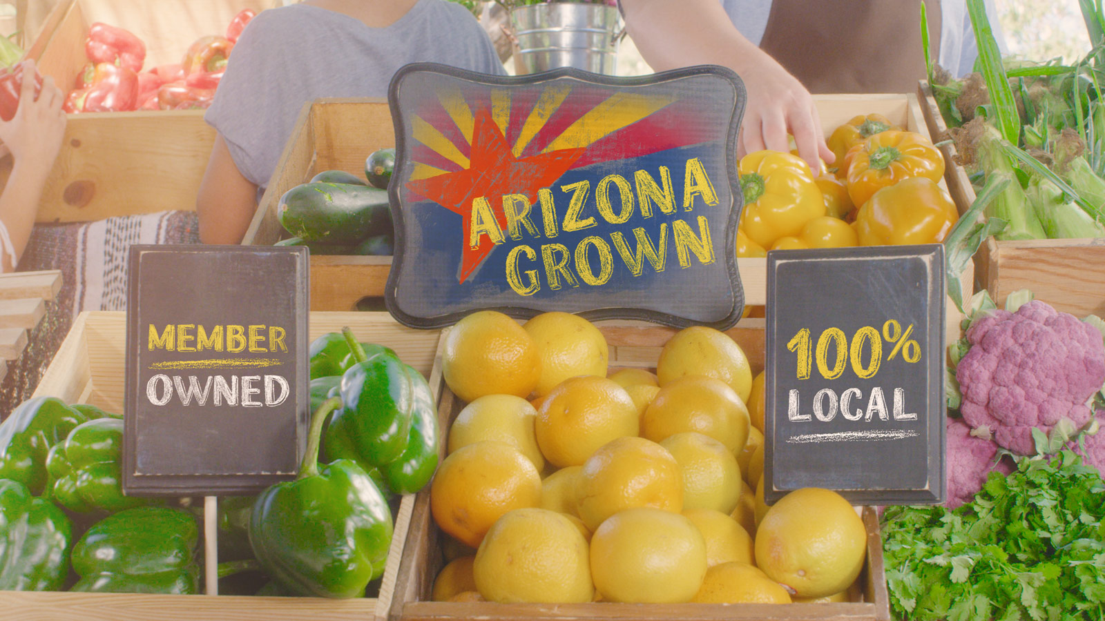 Arizona Federal Credit Union 01