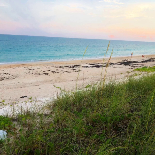 Treasure Title & Settlement of Vero LLC (Mainland) 01