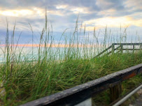 Treasure Title & Settlement of Vero LLC (Mainland) 03