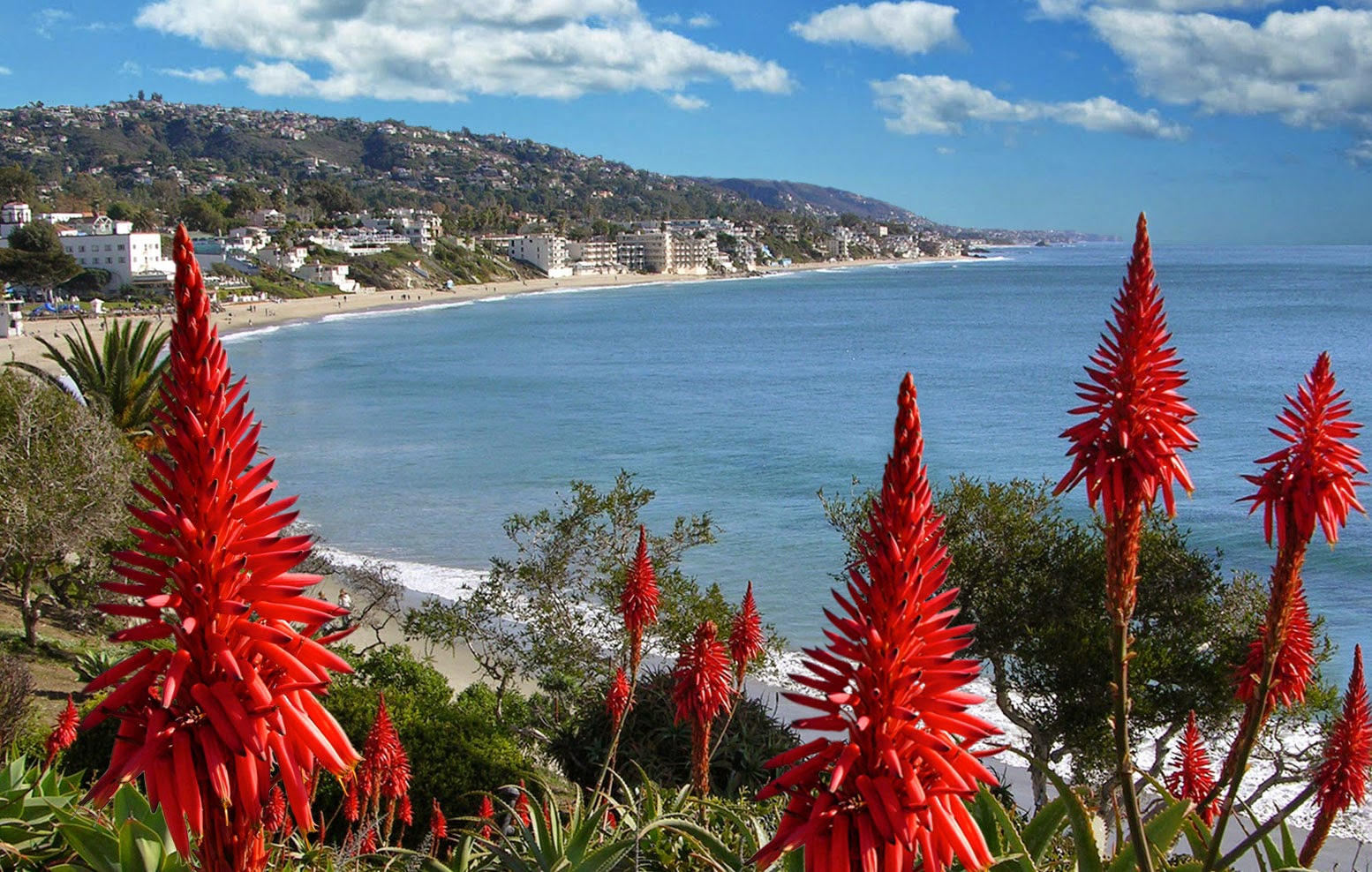 The Coastal Property Experts 01