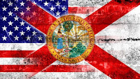 Colonial Consultants & Notary Services, L.L.C. 04