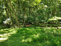 Veirs Mill Local Park 03