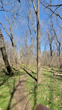 Veirs Mill Local Park 04