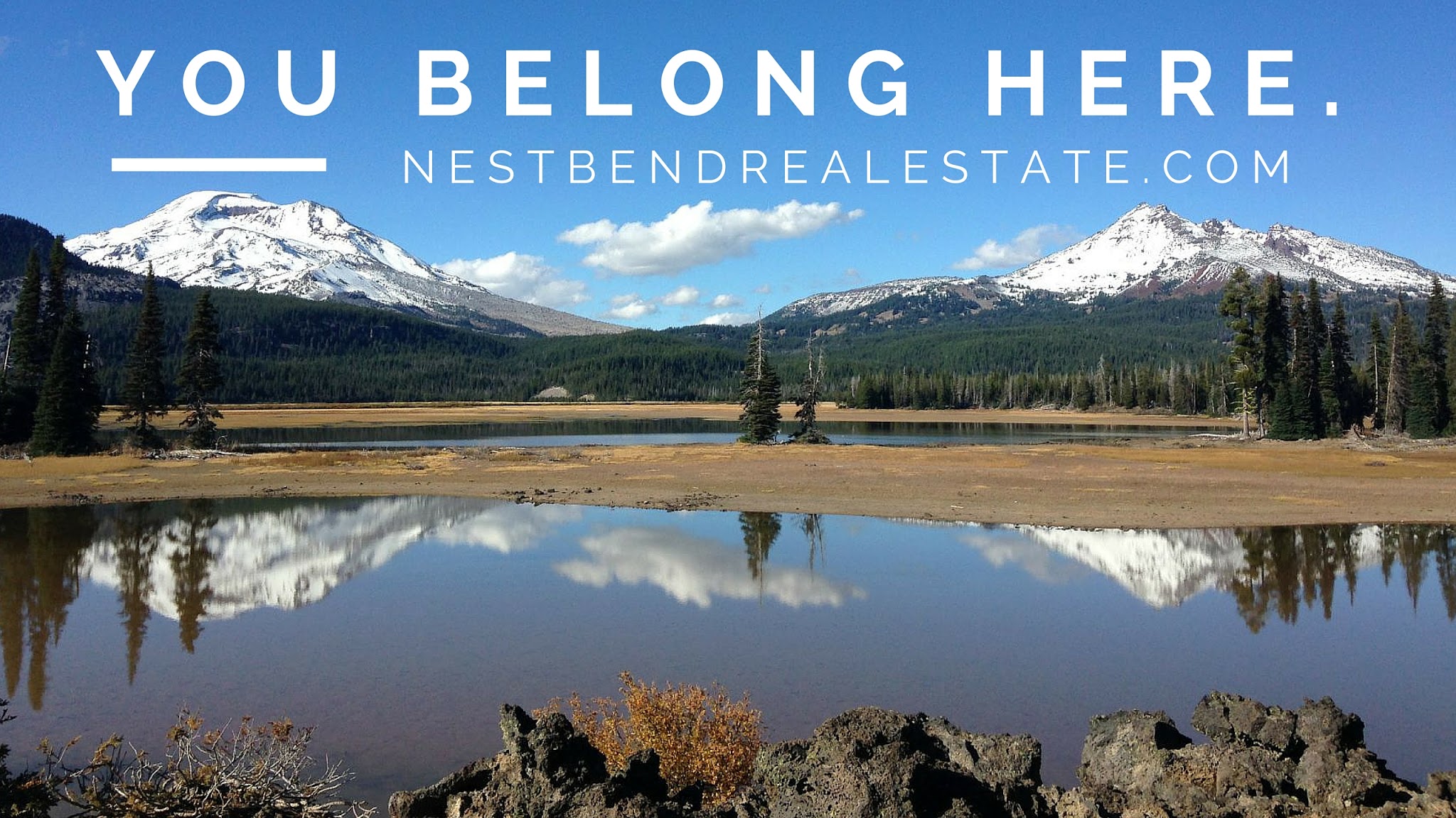 NestBend Real Estate 01