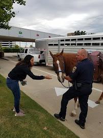 Fort Worth City Credit Union 01