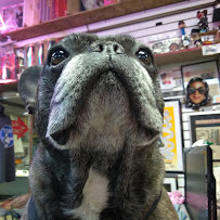 Main Street Pawn Shop 04