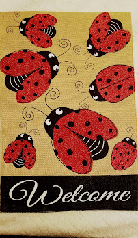 The Notary Bug, Mobile Notary Services 04