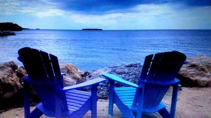 Notary by the Sea 01