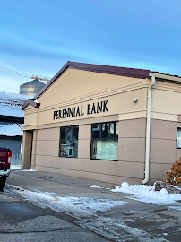 Perennial Bank 01