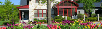 Snyder Donegan Real Estate Group 01