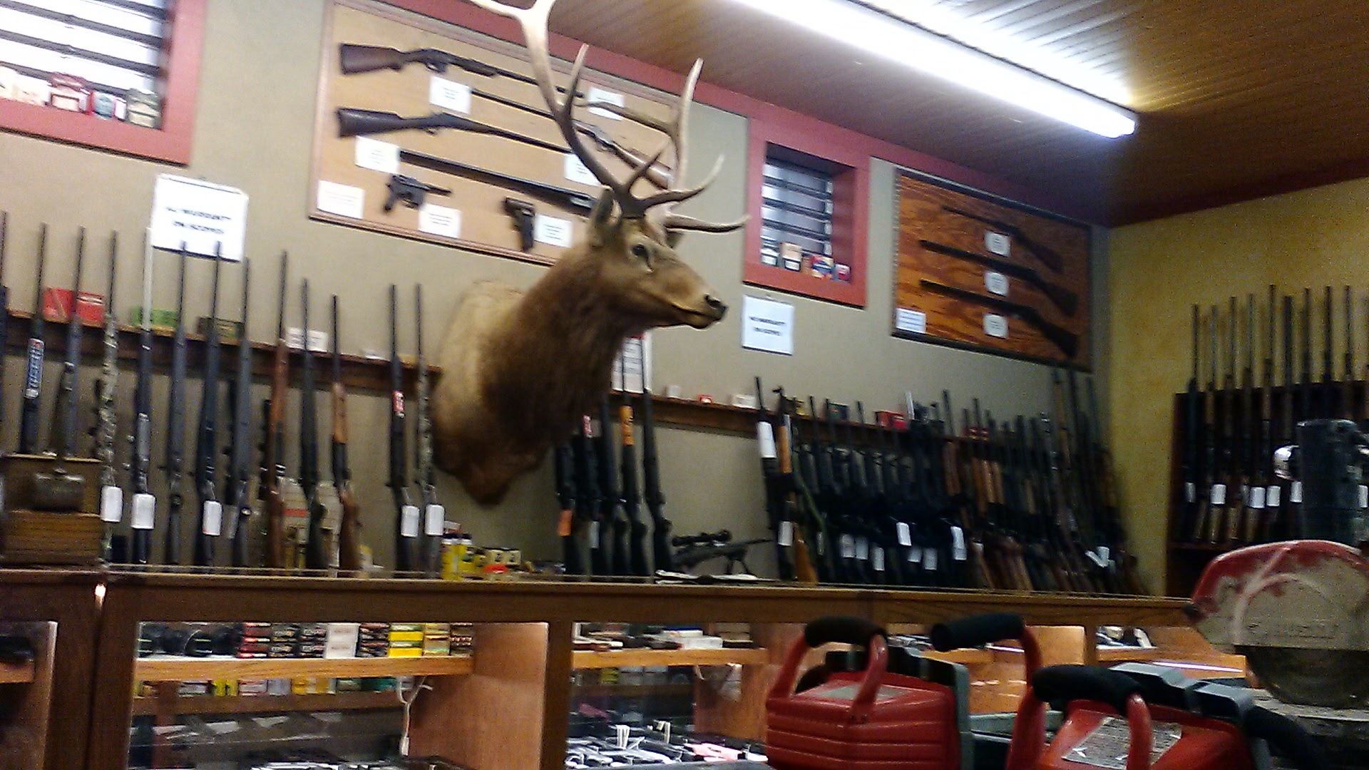 Gold Cup Pawn Shop 01