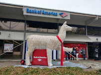Bank of America Financial Center 04