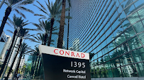 Network Capital 01