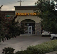 Moneytree 02