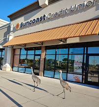Suncoast Credit Union 01