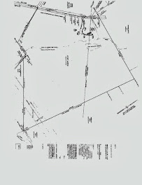 Phillips Realty 03