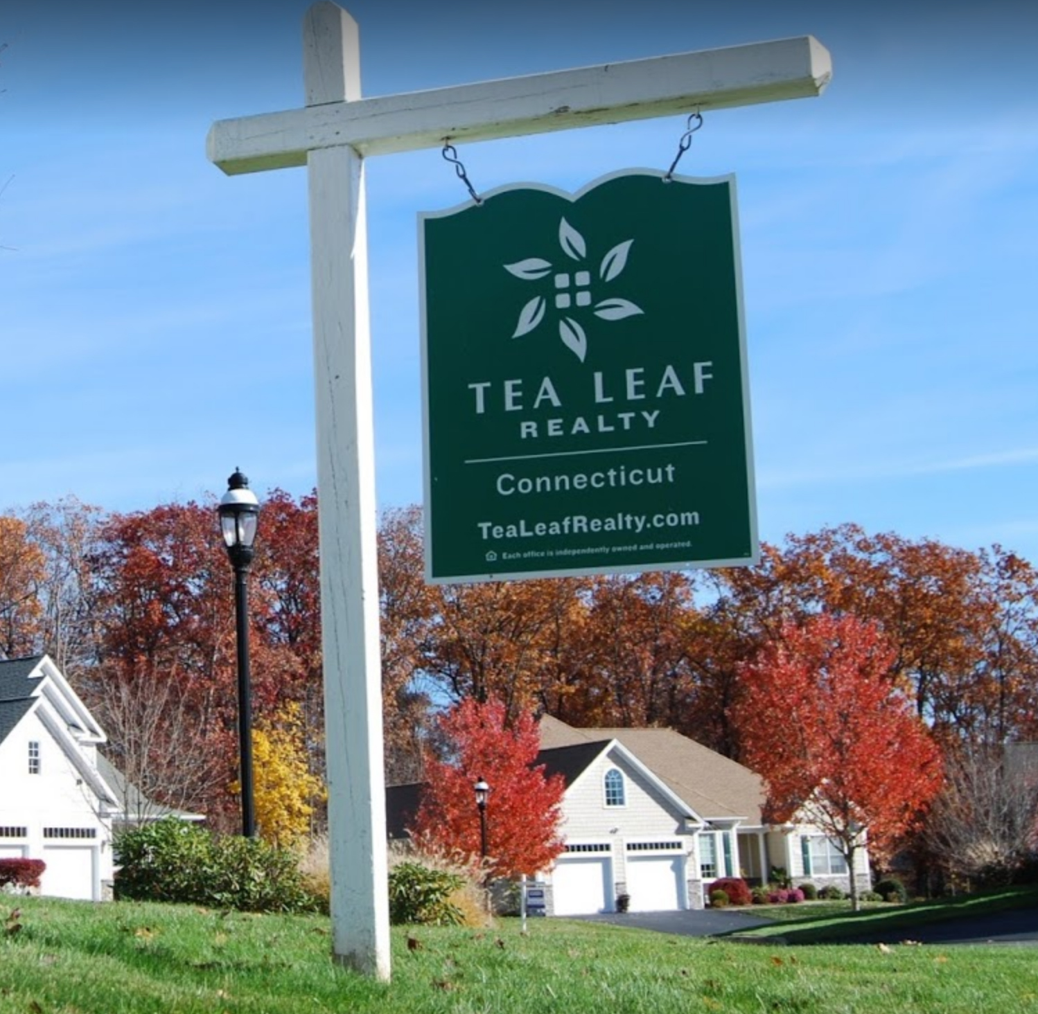 Tea Leaf Realty 01