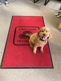 Jeff Ninness - State Farm Insurance Agent 02