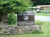 Paint Bank State Fish Hatchery 03