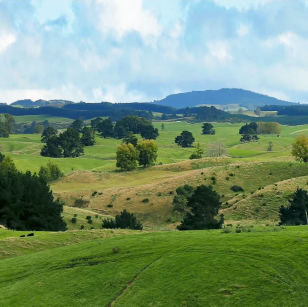 Farm & Country Insurance 01